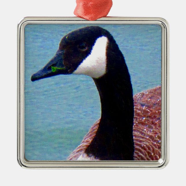 Wild Canadian Goose Metal Tree Decoration (Front)