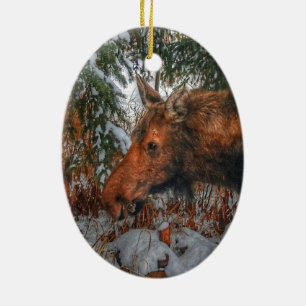 Wild Canadian Moose Grazing in Winter Forest Ceramic Tree Decoration