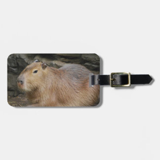 Wild Capybara Luggage Tag