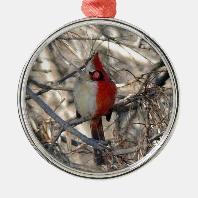 Wild Cardinal Bird Half Male, Half Female Metal Tree Decoration (Front)