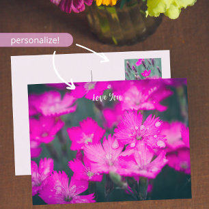 Wild carnations customisable  holiday postcard