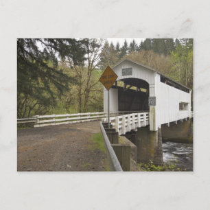 Wild Cat covered bridge, Lane County, Oregon Postcard