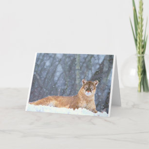 WILD CAT FREEDOM DESTINY ZAZZLE HOLIDAY CARD