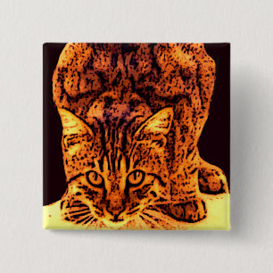 WILD CAT KITTEN 15 CM SQUARE BADGE