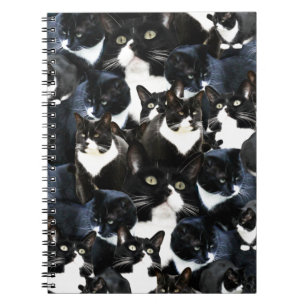 Wild Cat Madness Fun Kitty Photo Collage Art Spiral Notebook