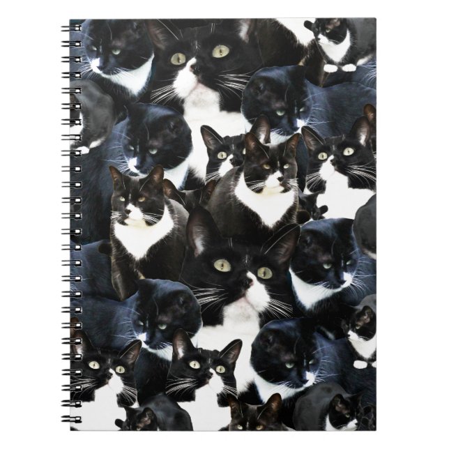 Wild Cat Madness Fun Kitty Photo Collage Art Spiral Notebook (Front)