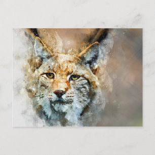 wild cat postcard
