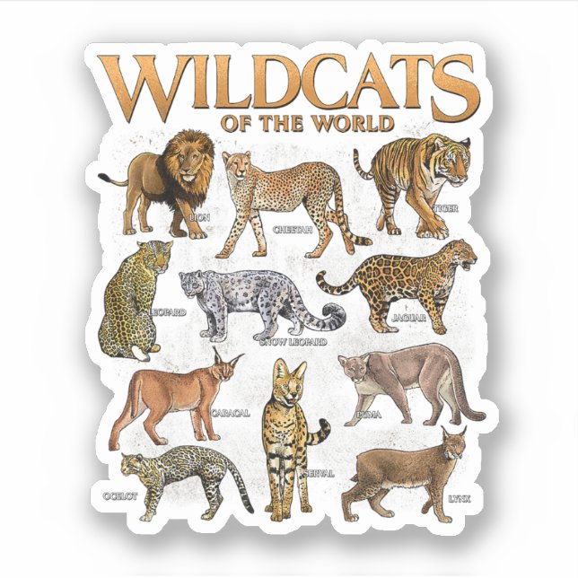 Wild Cats Animals of the World Educational Wild An (Front)