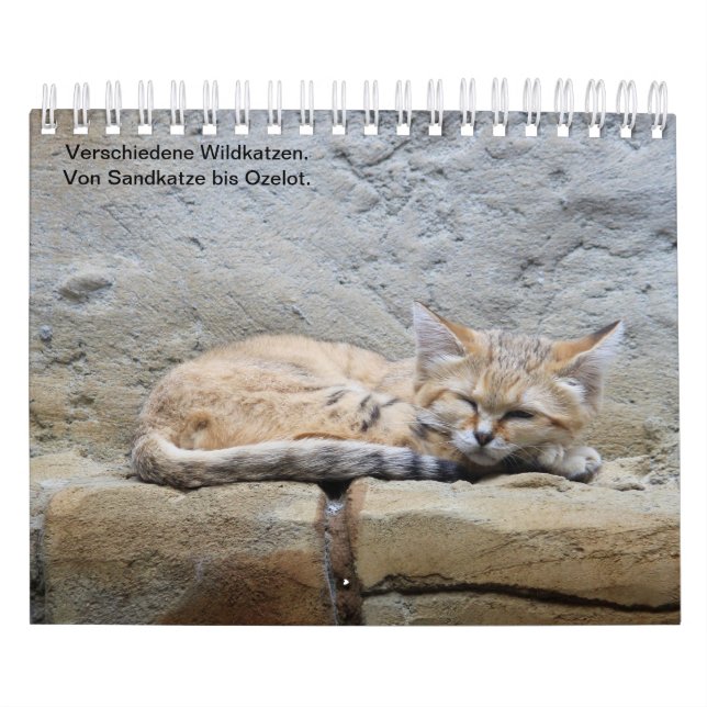 wild cats. calendar (Cover)