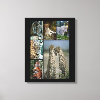 Wild cats collage Wrapped Canvas