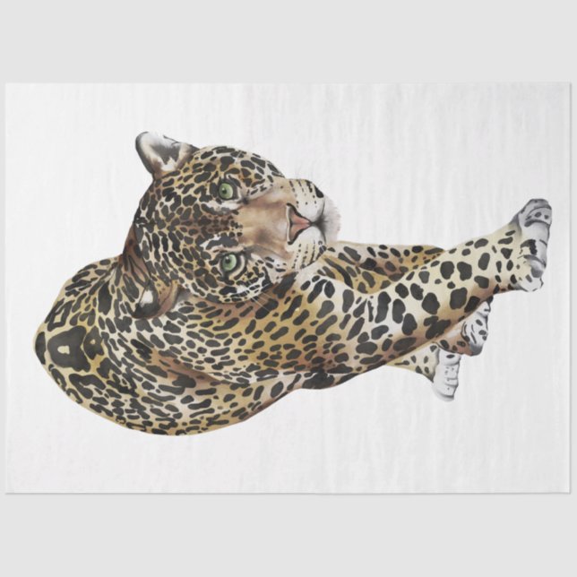 Wild Cats Series Design 3 Tissue Paper (Front)
