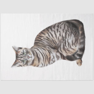 Wild Cats Series Design 6 Tissue Paper