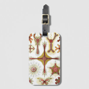 Wild Chamomile by Ernst Haeckel, Vintage Nature Luggage Tag