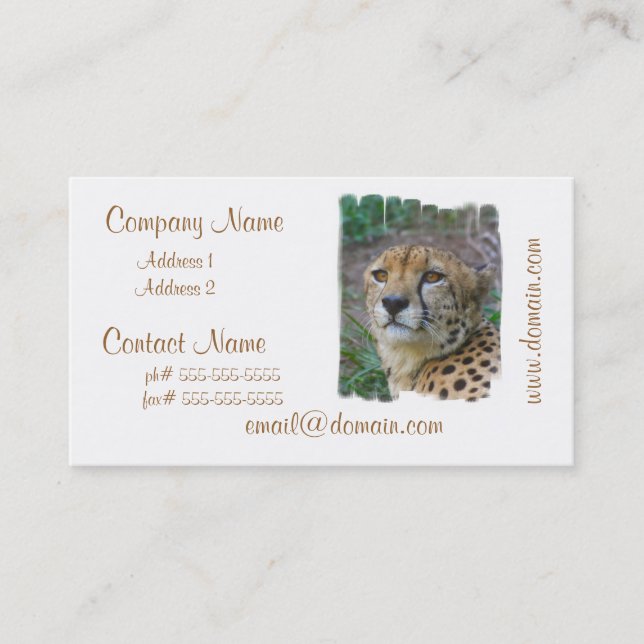 Wild Cheetah Business Cards (Front)