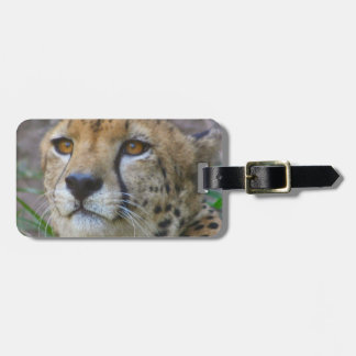 Wild Cheetah Luggage Tag