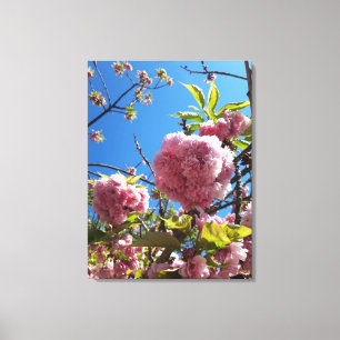 Wild Cherry pink Blossom Tree Canvas Print