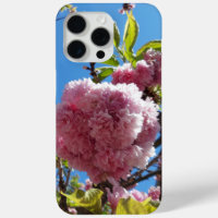 Wild Cherry pink Blossom Tree