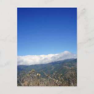wild costa rica postcard