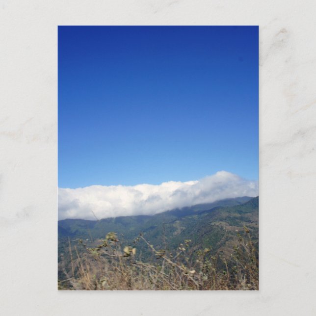 wild costa rica postcard (Front)
