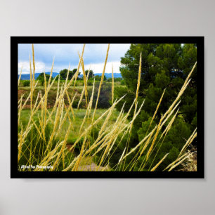 Wild Country Grass Poster