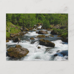 Wild Creek Postcard