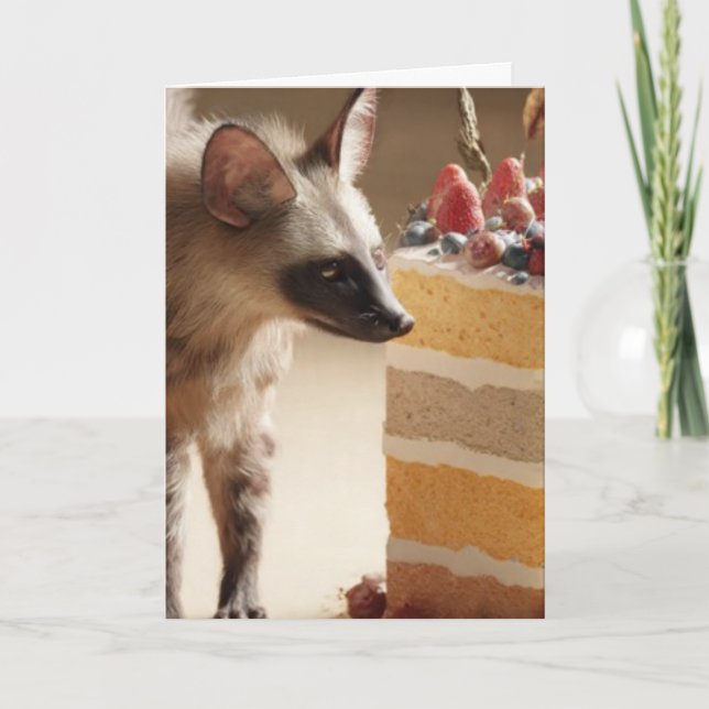 Wild Curiosity & Layered Cake Card (Front)