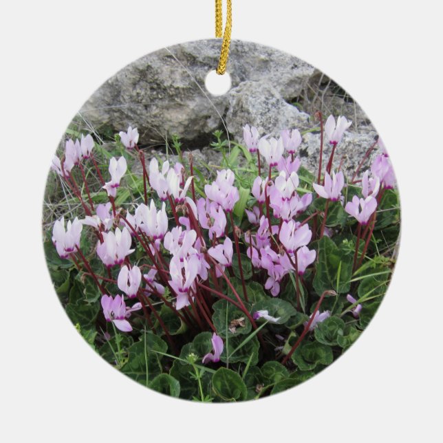 Wild Cyclamen Ornament (Front)