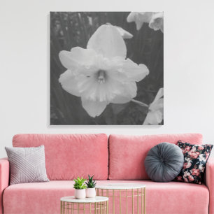 Wild Daffodil Canvas Print