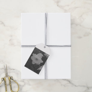 Wild Daffodil Gift Tags