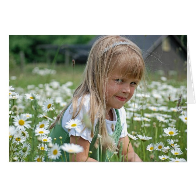 Wild Daisies (Front Horizontal)