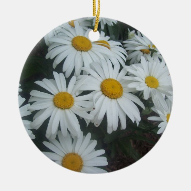 Wild Daisies Ceramic Tree Decoration (Front)