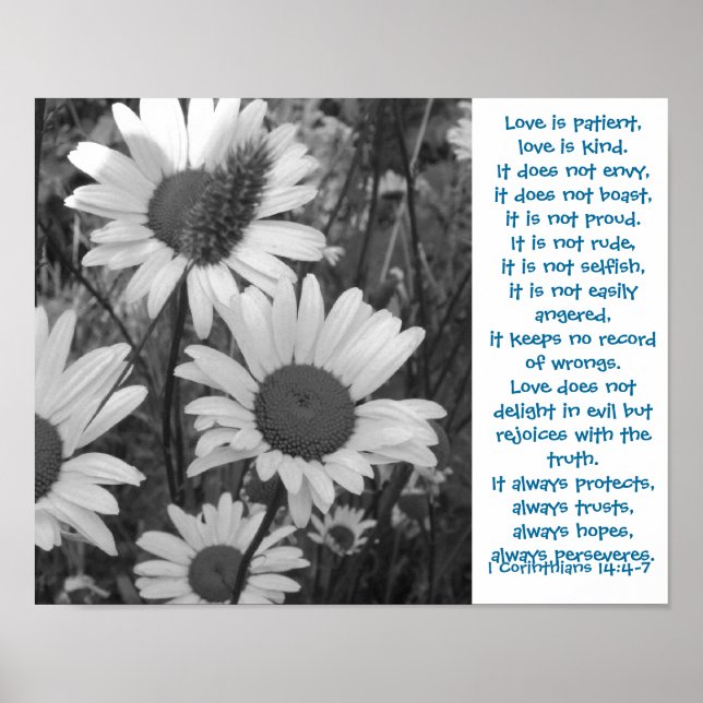 Wild Daisies Love Chapter Poster (Front)