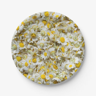 Wild daisies pattern paper plate