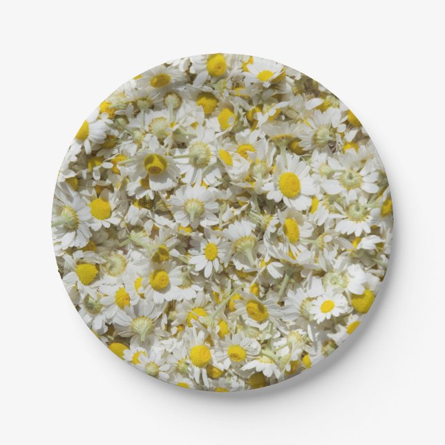 Wild daisies pattern paper plate (Front)