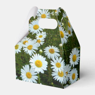 Wild Daisy Party Favour Box