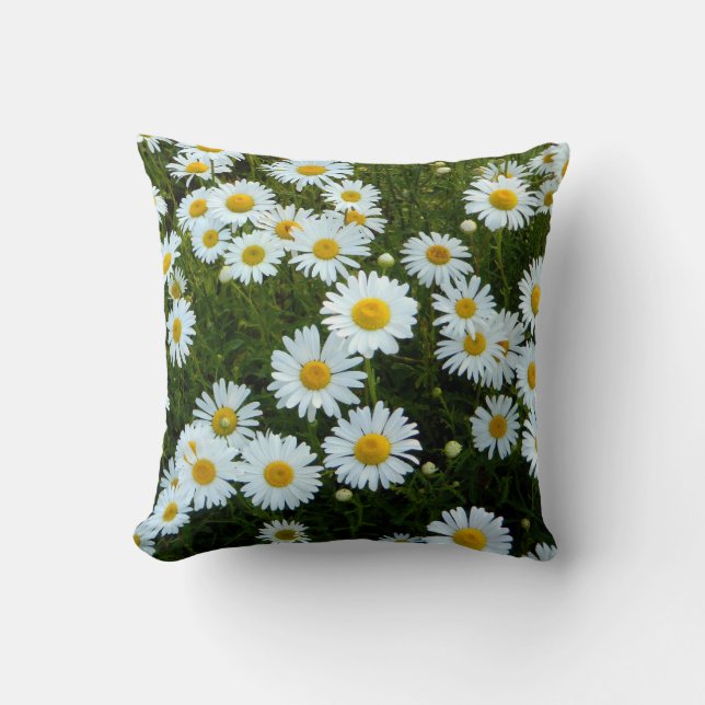 Wild Daisy Pillows (Front)