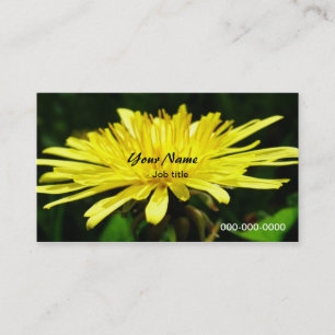 wild dandelion flowers. business card