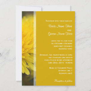 Wild dandelion flowers spring, summer, wedding invitation