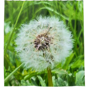 Wild Dandelion Romania Botanical Macro Photograpy Shower Curtain