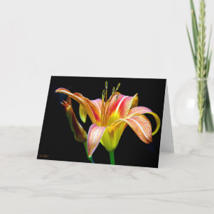 Wild Daylily On A Dark Morning Hike Thank You Card
