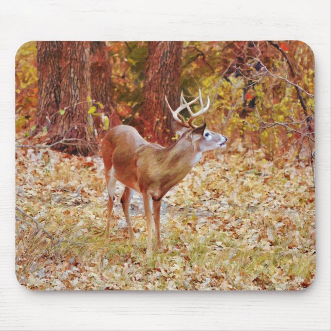 Wild Deer Buck Antlers Art Mouse Pad (Front)
