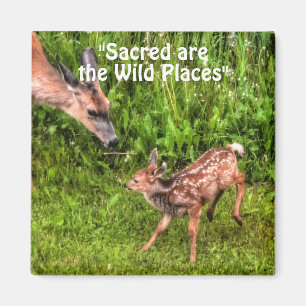 Wild Deer Fawn Wildlife for Outdoor-lovers Magnet
