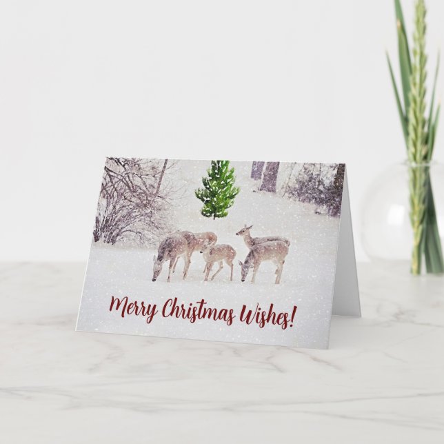 Wild Deer in Snow Winter Christmas Card (Front)