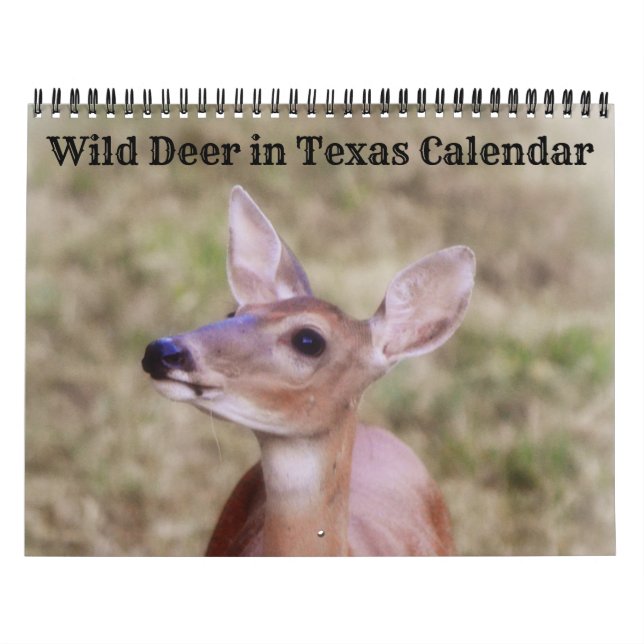 Wild Deer in Texas Calendar (Cover)