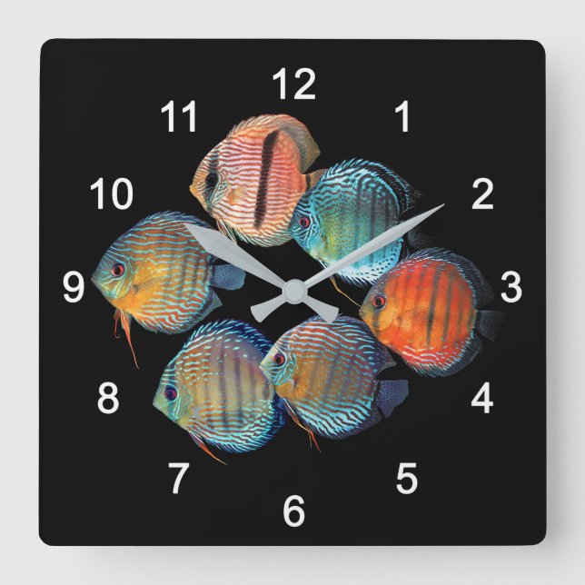 Wild Discus fish Square Wall Clock (Front)