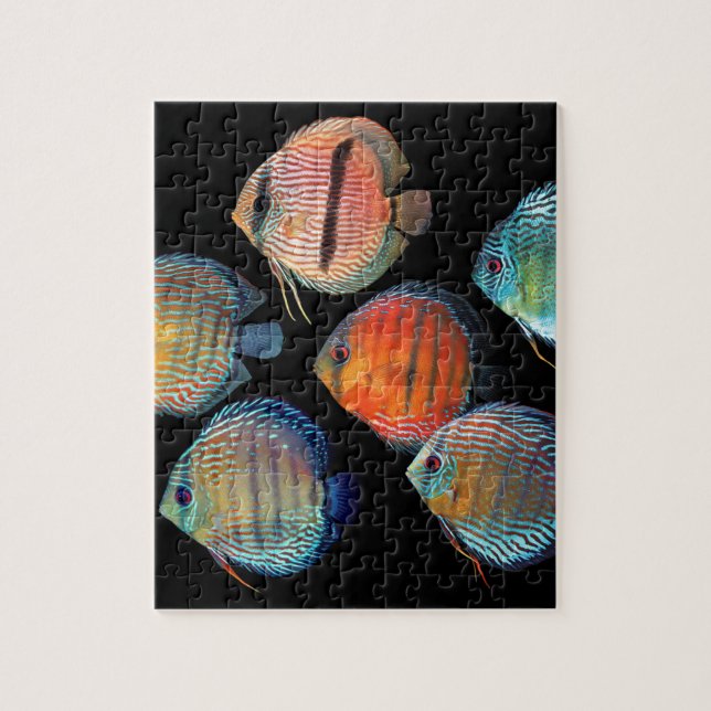 Wild Discus Jigsaw Puzzle (Vertical)