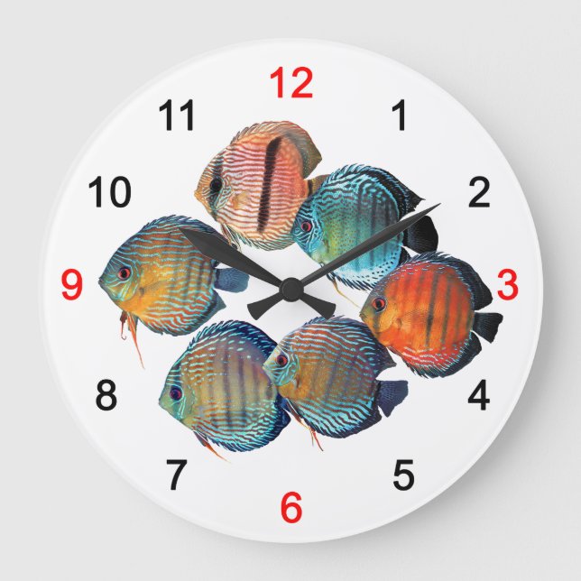 Wild Discusfish Large Clock (Front)