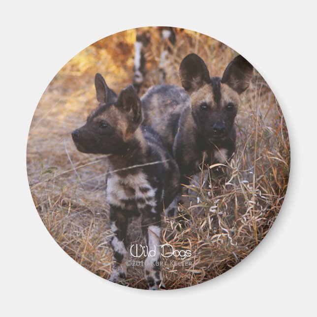 Wild Dogs Magnet (Front)