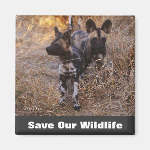 Wild Dogs Save Our Wildlife Magnet