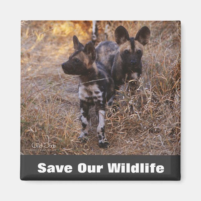 Wild Dogs Save Our Wildlife Magnet (Front)